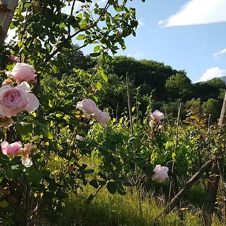 Bed & Breakfast Podere La Colombaia Montecatini Terme